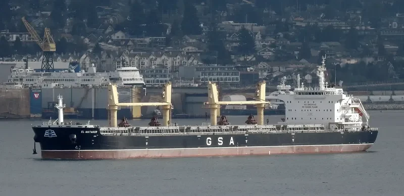 EL MATADOR Bulk Carrier IMO 9750048 photo 8
