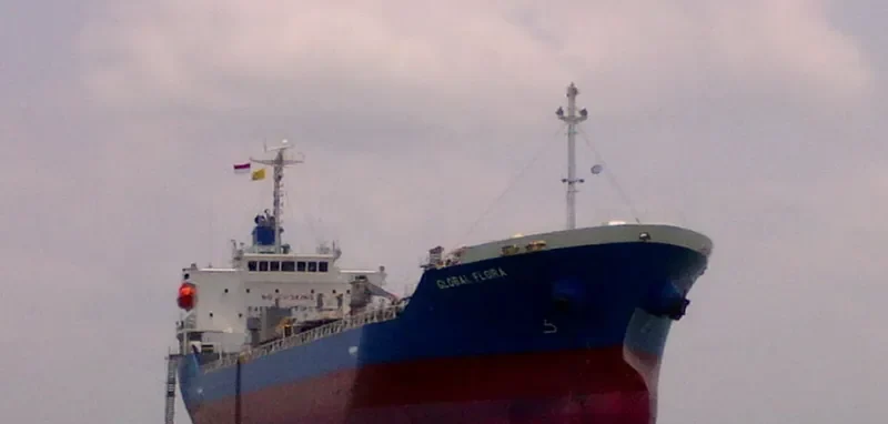 GLOBAL FLORA Tanker IMO 9750452 photo 4