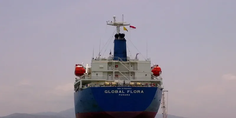 GLOBAL FLORA Tanker IMO 9750452 photo 5