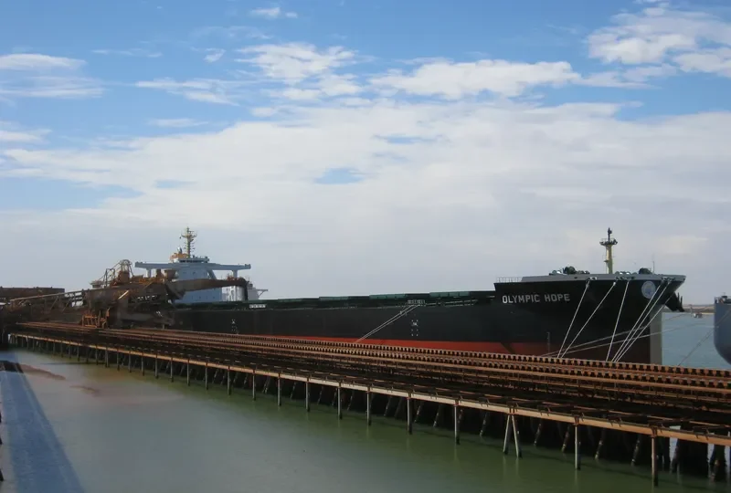 TRUE CARDINAL Bulk Carrier IMO 9750828