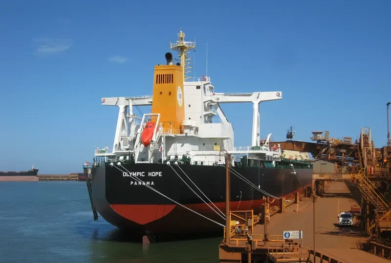 TRUE CARDINAL Bulk Carrier IMO 9750828 photo 2