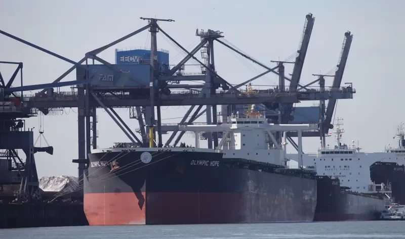 TRUE CARDINAL Bulk Carrier IMO 9750828 photo 3