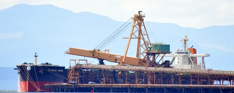 TRUE CARDINAL Bulk Carrier IMO 9750828 photo 4