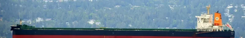 TRUE CARDINAL Bulk Carrier IMO 9750828 photo 5