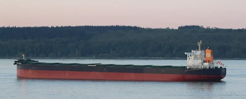 TRUE CARDINAL Bulk Carrier IMO 9750828 photo 6