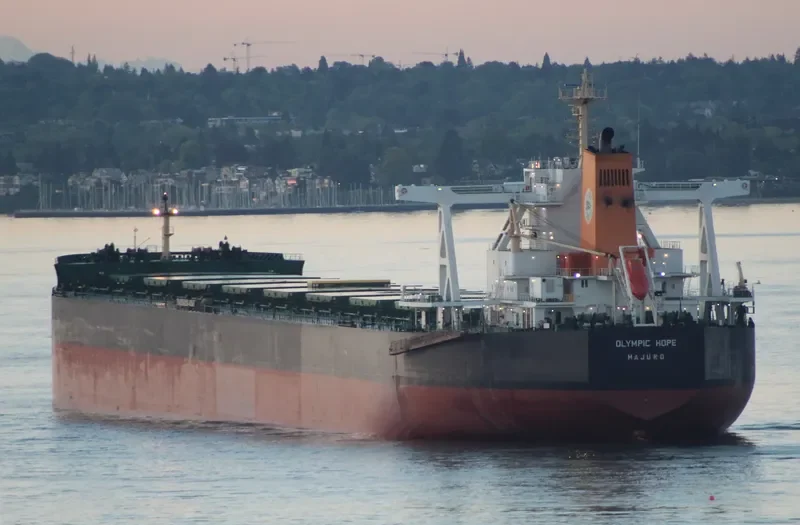 TRUE CARDINAL Bulk Carrier IMO 9750828 photo 7