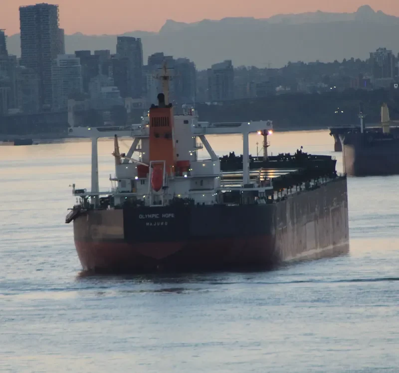 TRUE CARDINAL Bulk Carrier IMO 9750828 photo 8