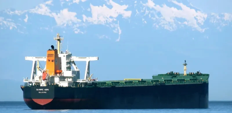 TRUE CARDINAL Bulk Carrier IMO 9750828 photo 9