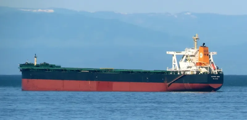 TRUE CARDINAL Bulk Carrier IMO 9750828 photo 10