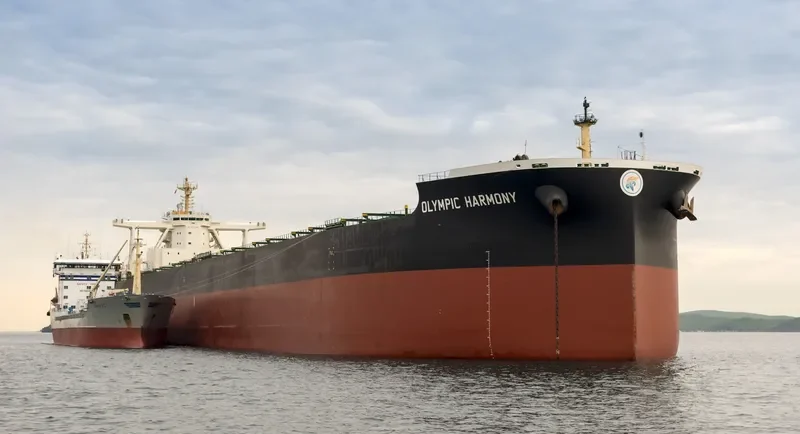 TRUE COURAGE Bulk Carrier IMO 9750830 photo 3