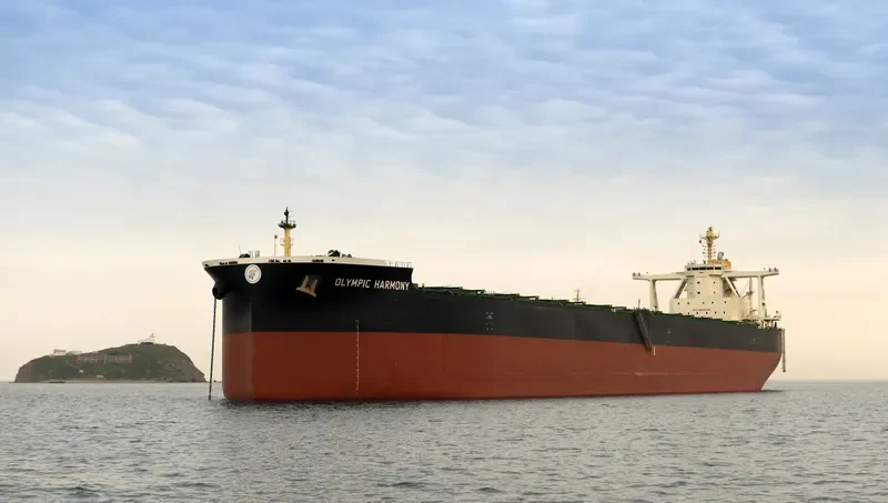 TRUE COURAGE Bulk Carrier IMO 9750830 photo 4