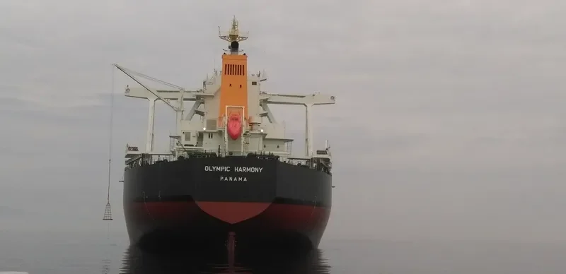 TRUE COURAGE Bulk Carrier IMO 9750830 photo 5