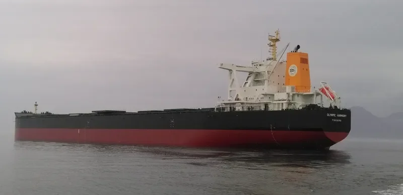 TRUE COURAGE Bulk Carrier IMO 9750830 photo 6