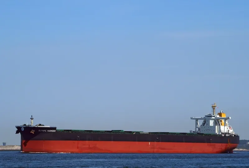 TRUE COURAGE Bulk Carrier IMO 9750830 photo 7