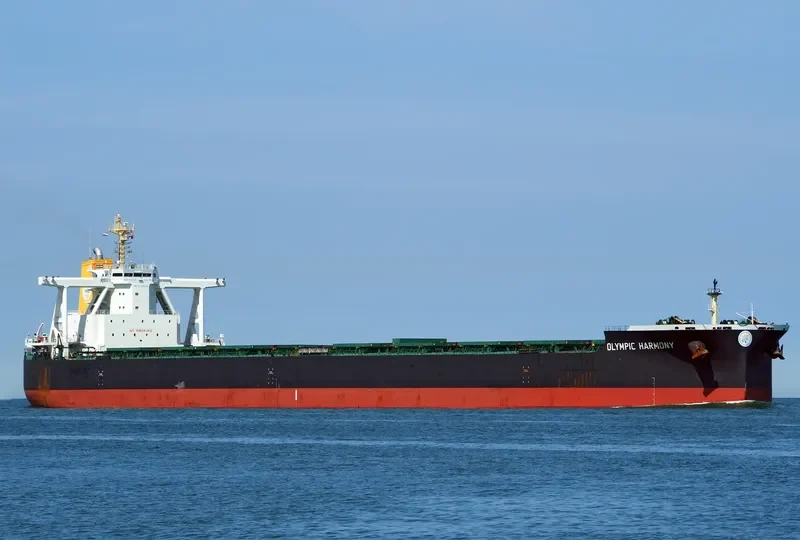 TRUE COURAGE Bulk Carrier IMO 9750830 photo 8