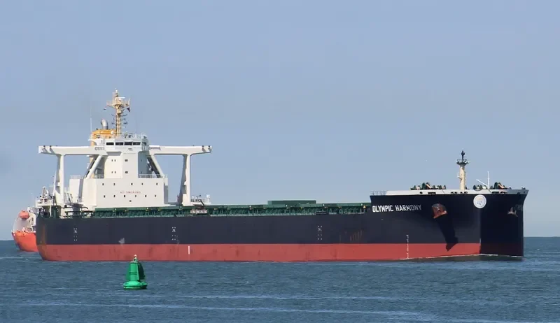 TRUE COURAGE Bulk Carrier IMO 9750830 photo 10
