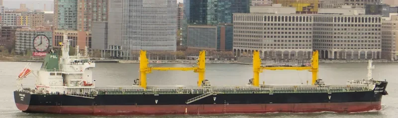 SUNISA NAREE Bulk Carrier IMO 9751248