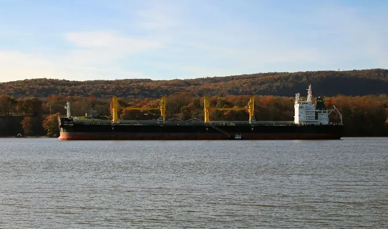 SUNISA NAREE Bulk Carrier IMO 9751248 photo 3