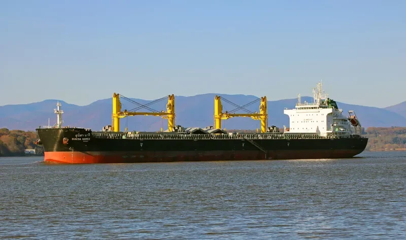 SUNISA NAREE Bulk Carrier IMO 9751248 photo 4