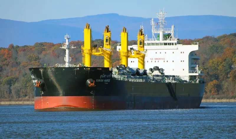 SUNISA NAREE Bulk Carrier IMO 9751248 photo 5