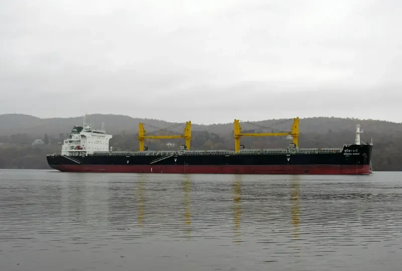 SUNISA NAREE Bulk Carrier IMO 9751248 photo 6