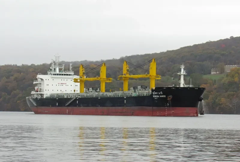 SUNISA NAREE Bulk Carrier IMO 9751248 photo 7