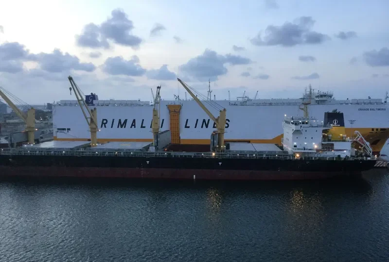 JIAN GUO HAI Bulk Carrier IMO 9751286 photo 3