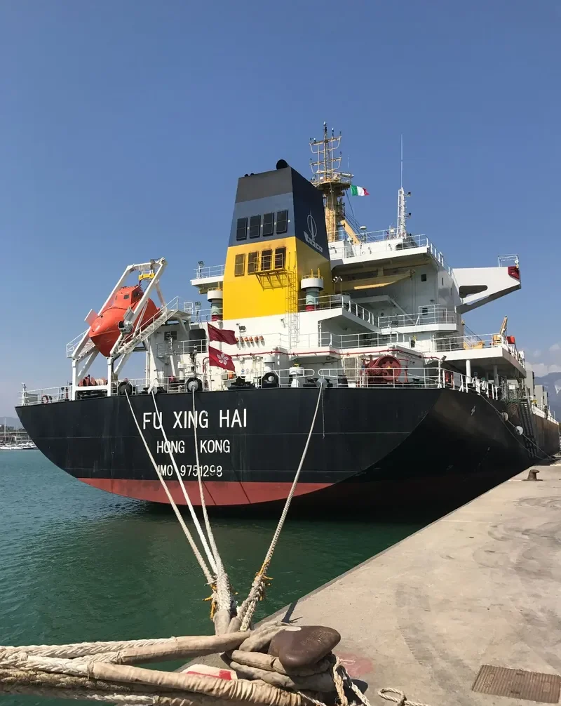 FU XING HAI Bulk Carrier IMO 9751298 photo 3