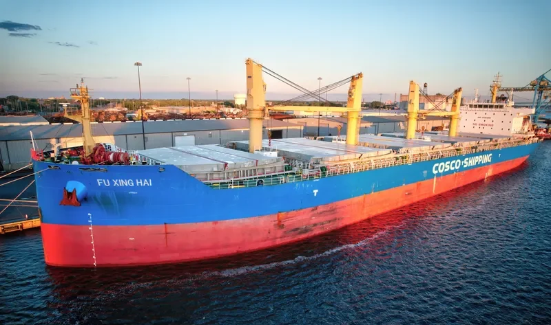 FU XING HAI Bulk Carrier IMO 9751298 photo 6