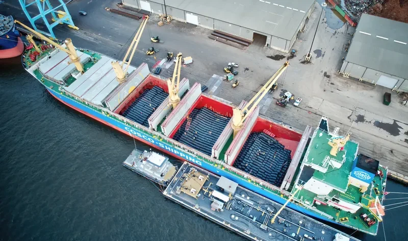 FU XING HAI Bulk Carrier IMO 9751298 photo 8