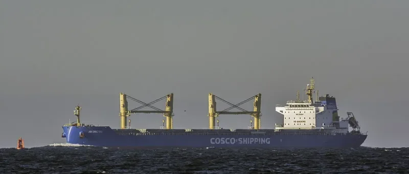 AN DING HAI Bulk Carrier IMO 9751303