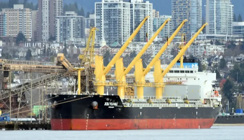 XIU YU HAI Bulk Carrier IMO 9751377