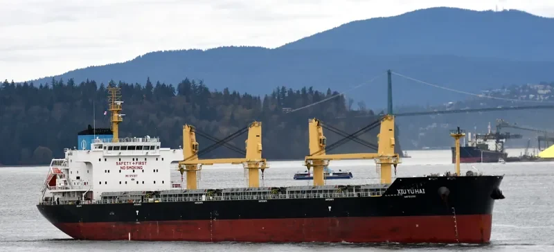 XIU YU HAI Bulk Carrier IMO 9751377 photo 2