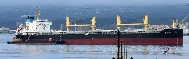 XIU YU HAI Bulk Carrier IMO 9751377 photo 3