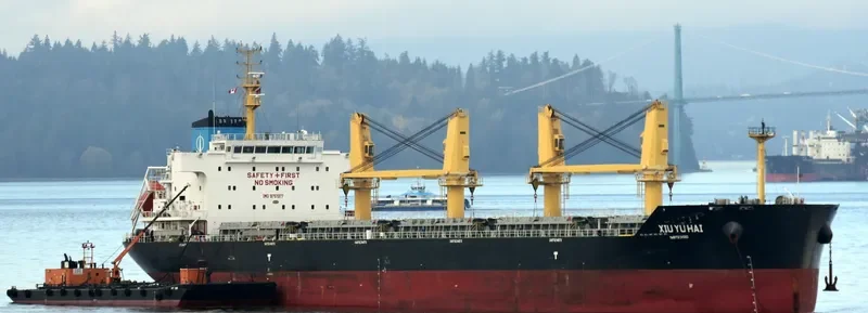 XIU YU HAI Bulk Carrier IMO 9751377 photo 4