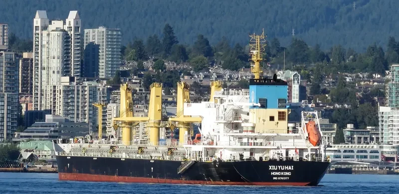 XIU YU HAI Bulk Carrier IMO 9751377 photo 8