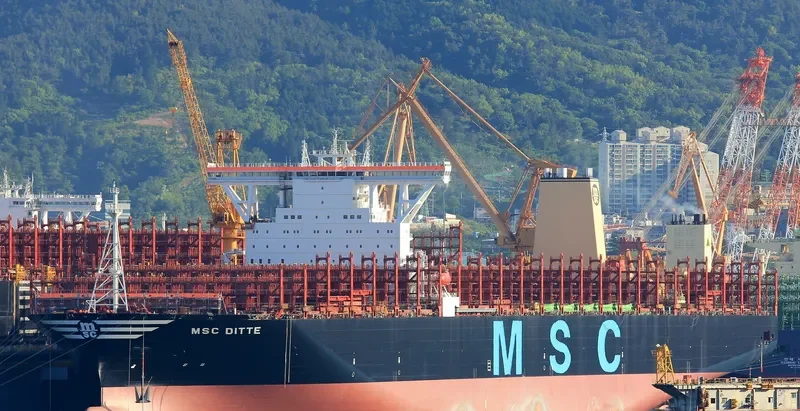 MSC DITTE Container Ship IMO 9754953