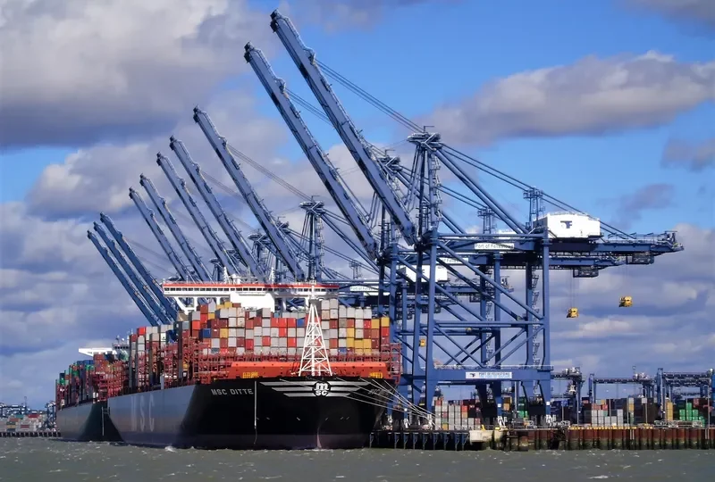 MSC DITTE Container Ship IMO 9754953 photo 2