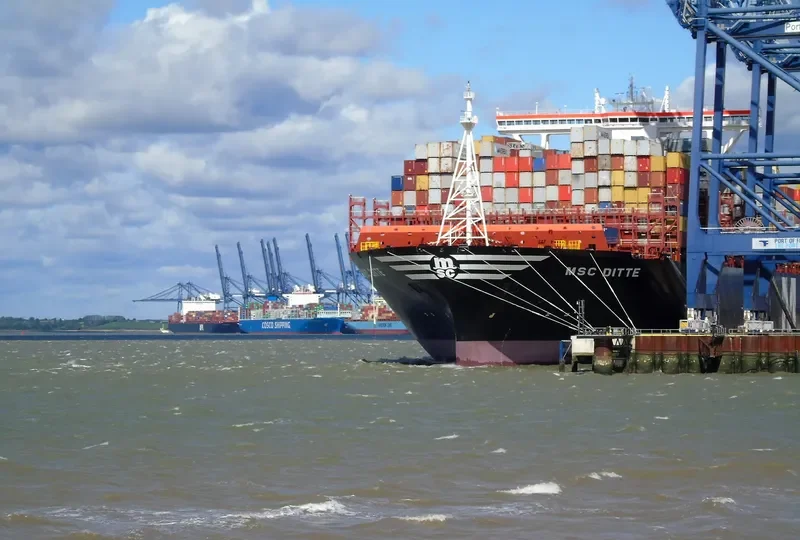 MSC DITTE Container Ship IMO 9754953 photo 3