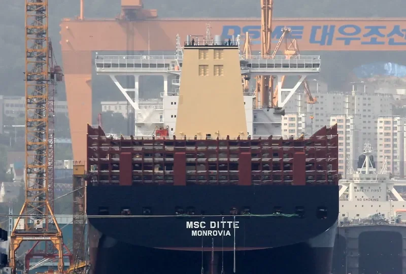 MSC DITTE Container Ship IMO 9754953 photo 4