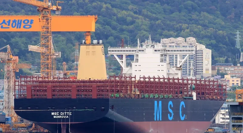 MSC DITTE Container Ship IMO 9754953 photo 5