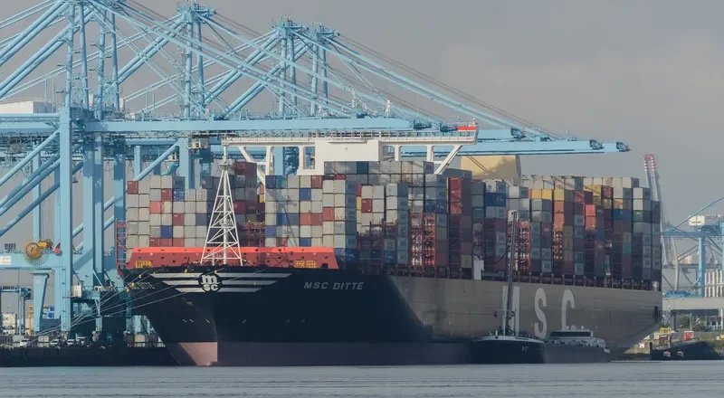 MSC DITTE Container Ship IMO 9754953 photo 6