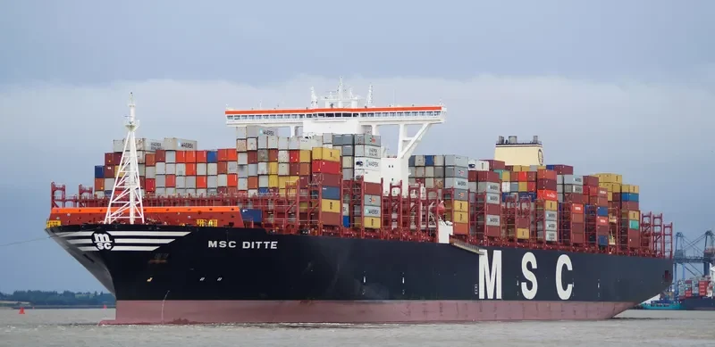 MSC DITTE Container Ship IMO 9754953 photo 7
