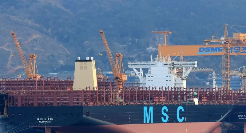 MSC DITTE Container Ship IMO 9754953 photo 8