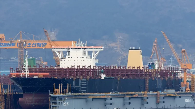 MSC DITTE Container Ship IMO 9754953 photo 9