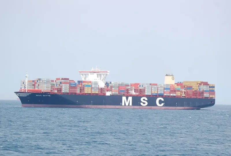 MSC DITTE Container Ship IMO 9754953 photo 10