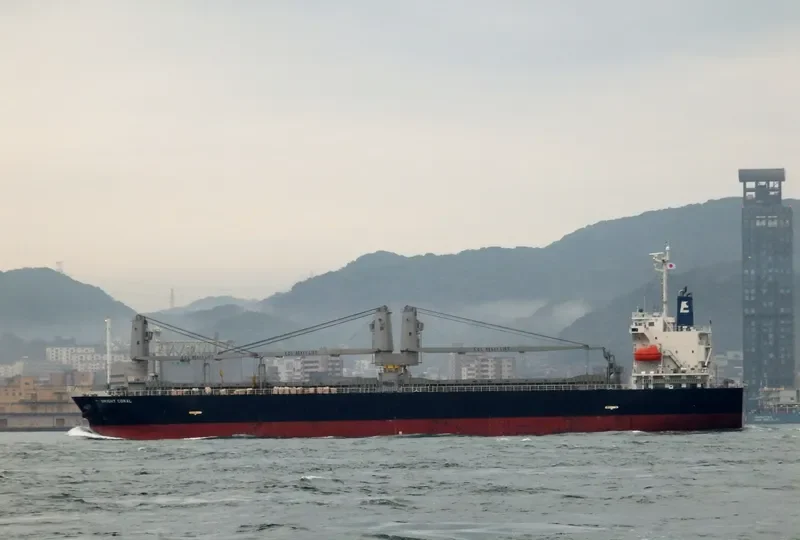 BRIGHT CORAL General Cargo IMO 9754989 photo 2