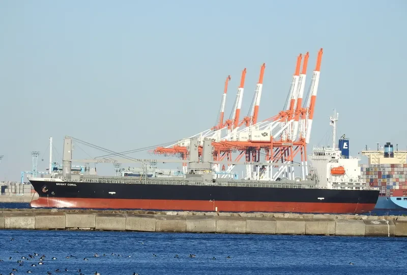 BRIGHT CORAL General Cargo IMO 9754989 photo 3