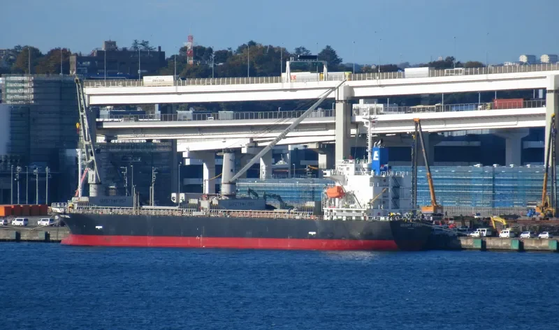 BRIGHT CORAL General Cargo IMO 9754989 photo 4