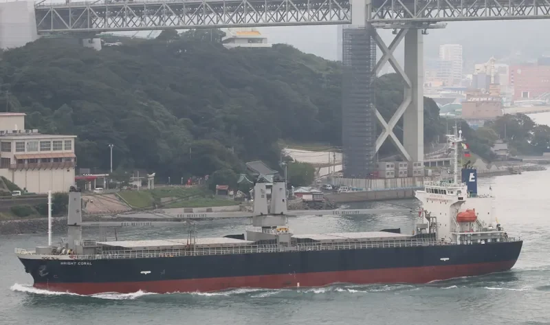BRIGHT CORAL General Cargo IMO 9754989 photo 7